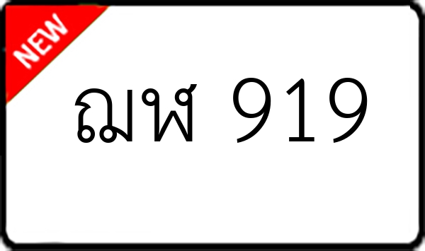 ฌฬ 919